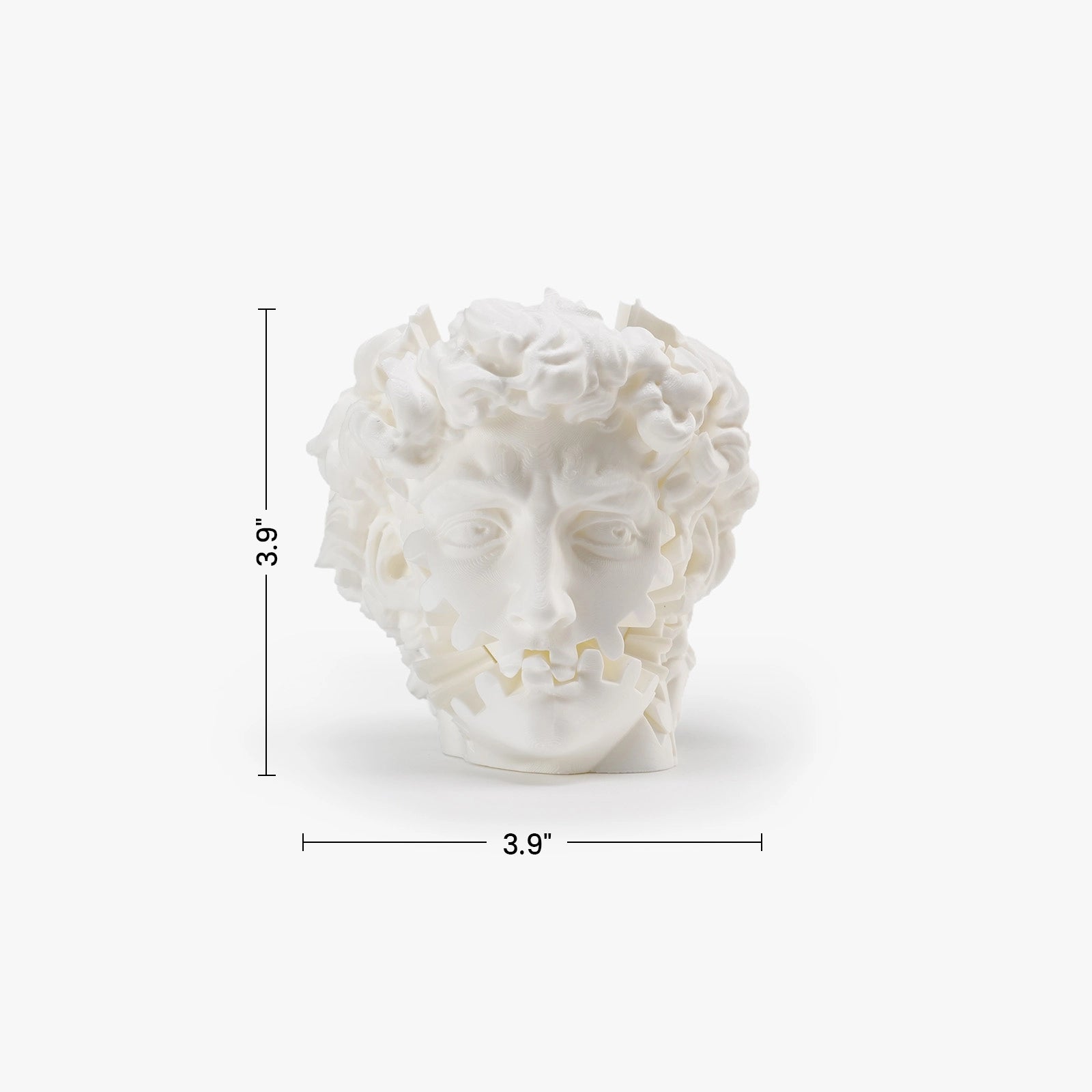 Product dimensions of David Head Gear Toy